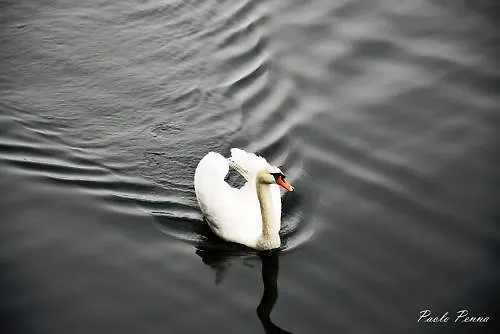 Lvg Collection - Il Portico فندق كانوبيو